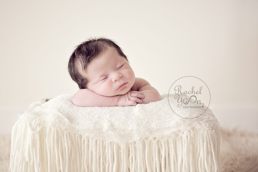 newborn baby girl posed in a basket - newborn photography vancouver