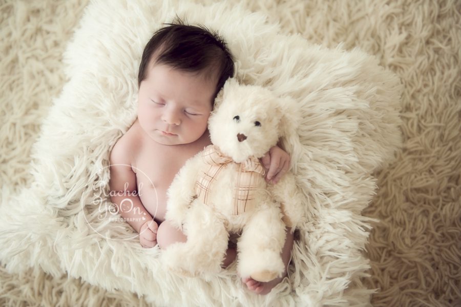 newborn baby girl with a teddy bear - newborn photography vancouver