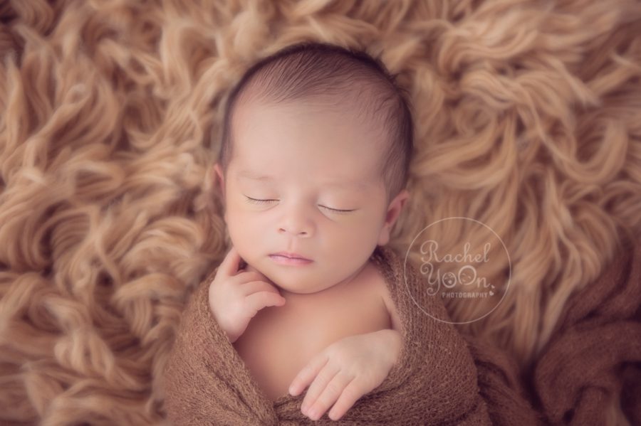 newborn baby boy wrapped - newborn photography vancouver