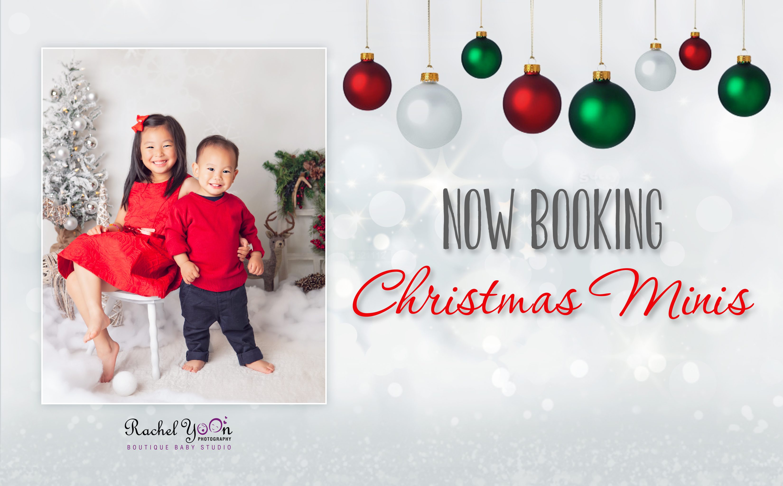 Now booking Christmas Minis