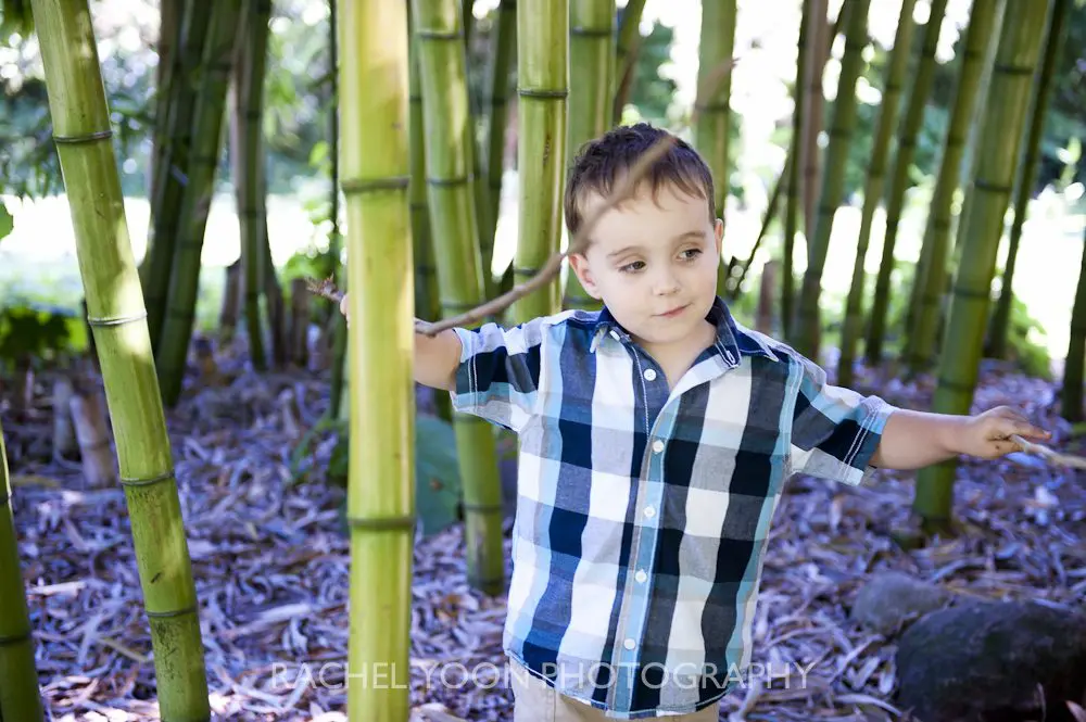 family photography in Stanley Park family photography in Stanley Park