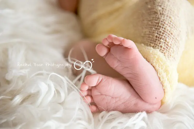 newborn photography vancouver