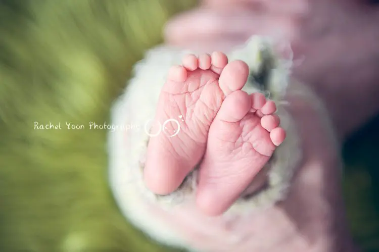 newborn photography vancouver
