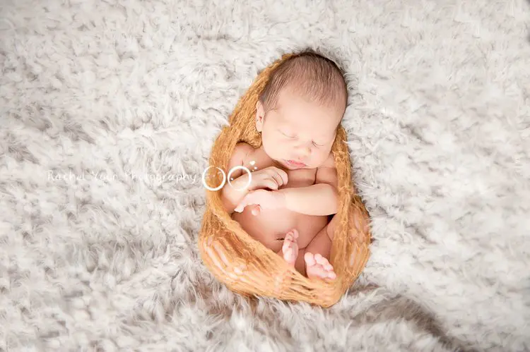 Vancouver Newborn Photographer - newborn baby boy