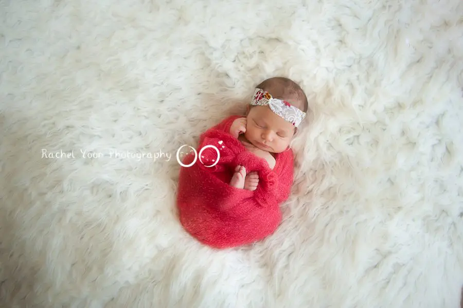 http://bitsofbee.com/art-newborn-photography/