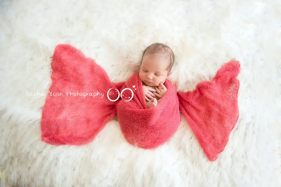 http://bitsofbee.com/art-newborn-photography/