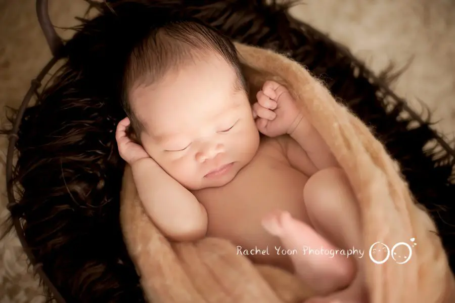 newborn photography vancouver - baby boy in a basket