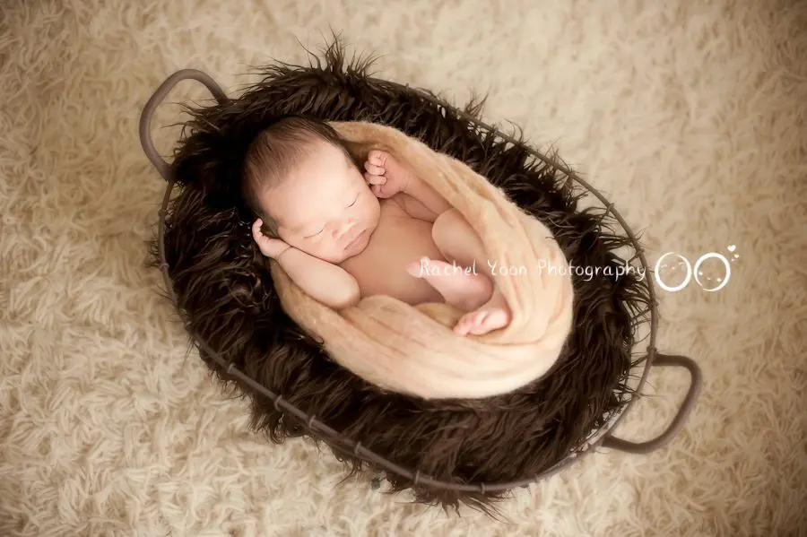 newborn photography vancouver - baby boy in a basket