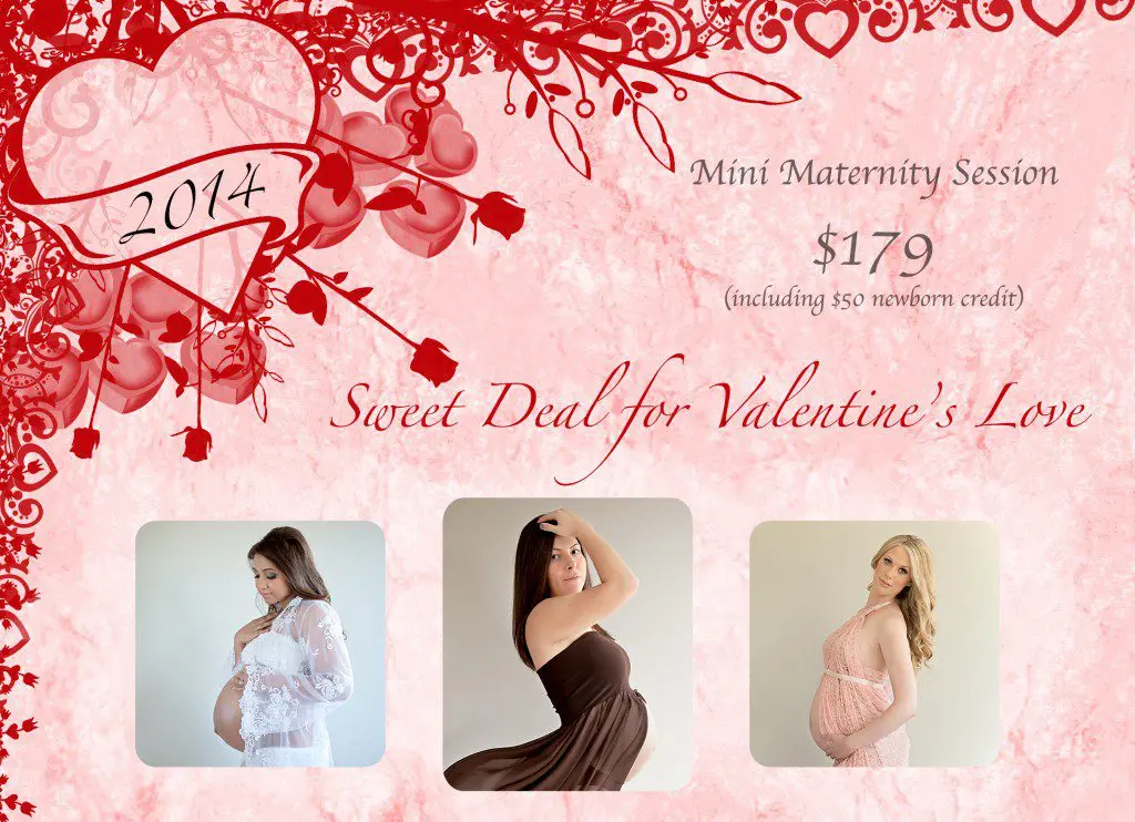 Mini Maternity Session $179 including $50 newborn credit