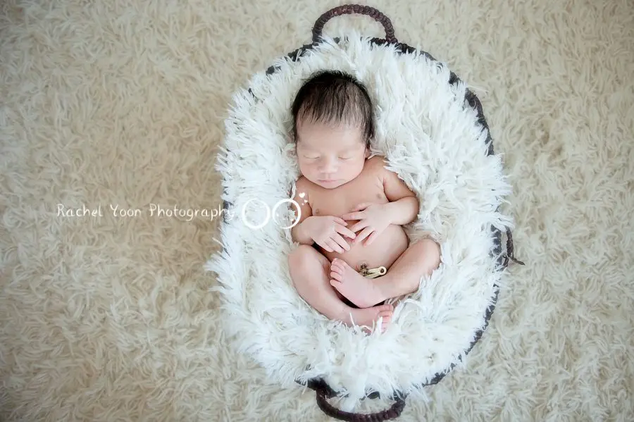 newborn photography vancouver - newborn baby boy in a basket