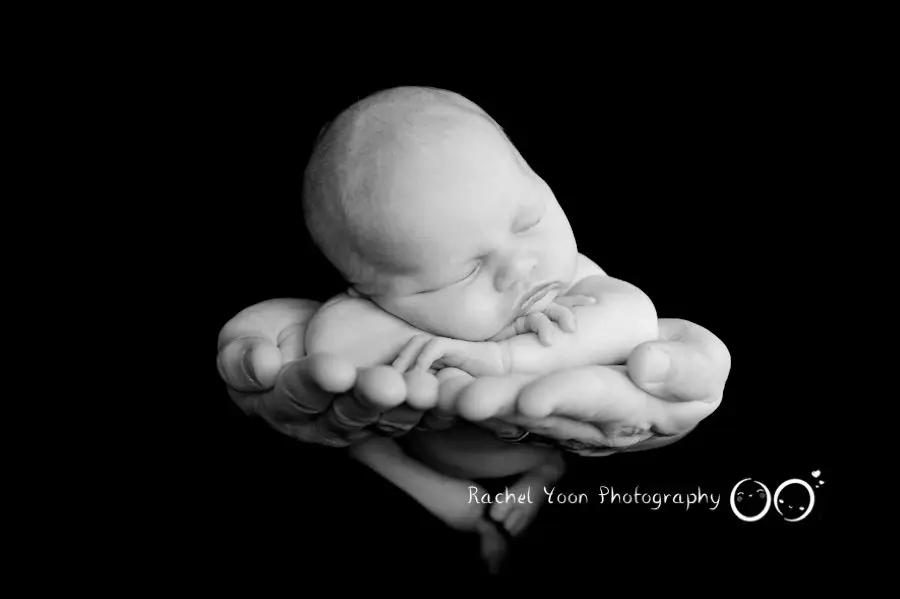 newborn photography vancouver- baby girl on dad's hands