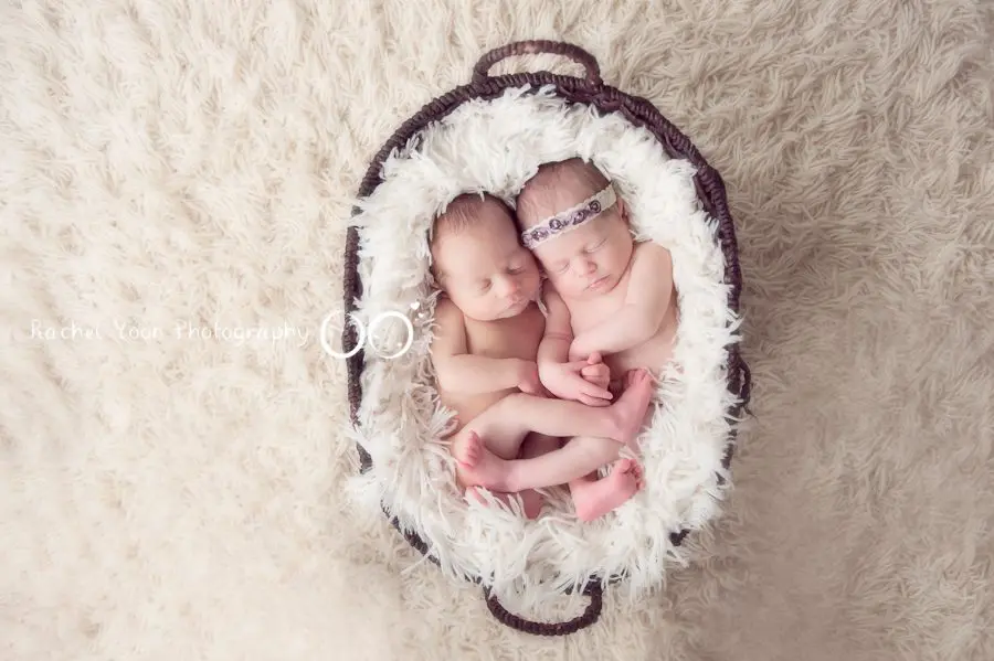 Twins in a basket - Newborn Photography Vancouver