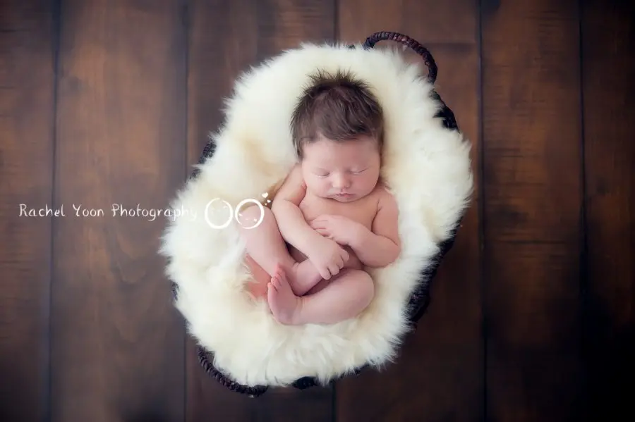 newborn baby boy in a basket - newborn photography vancouver