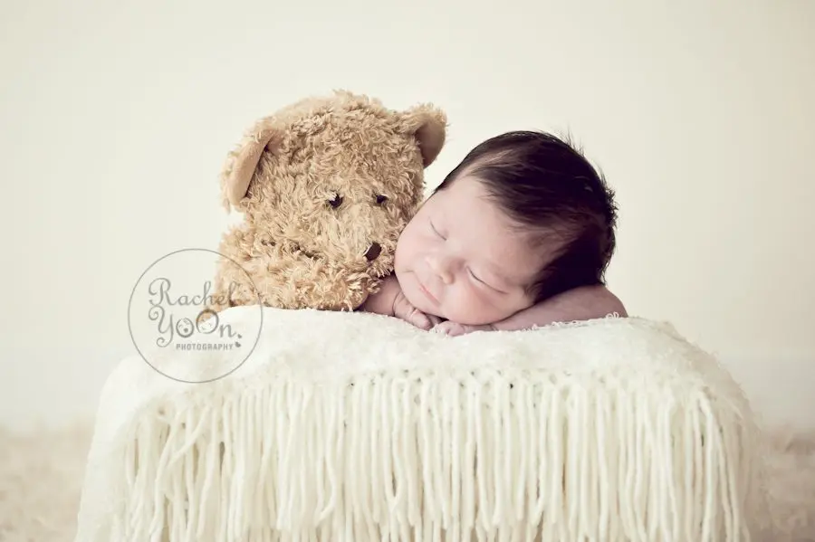 newborn baby girl with a teddy bear - newborn photography vancouver
