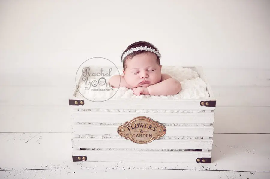 newborn baby girl in a white garden basket - newborn photography vancouver