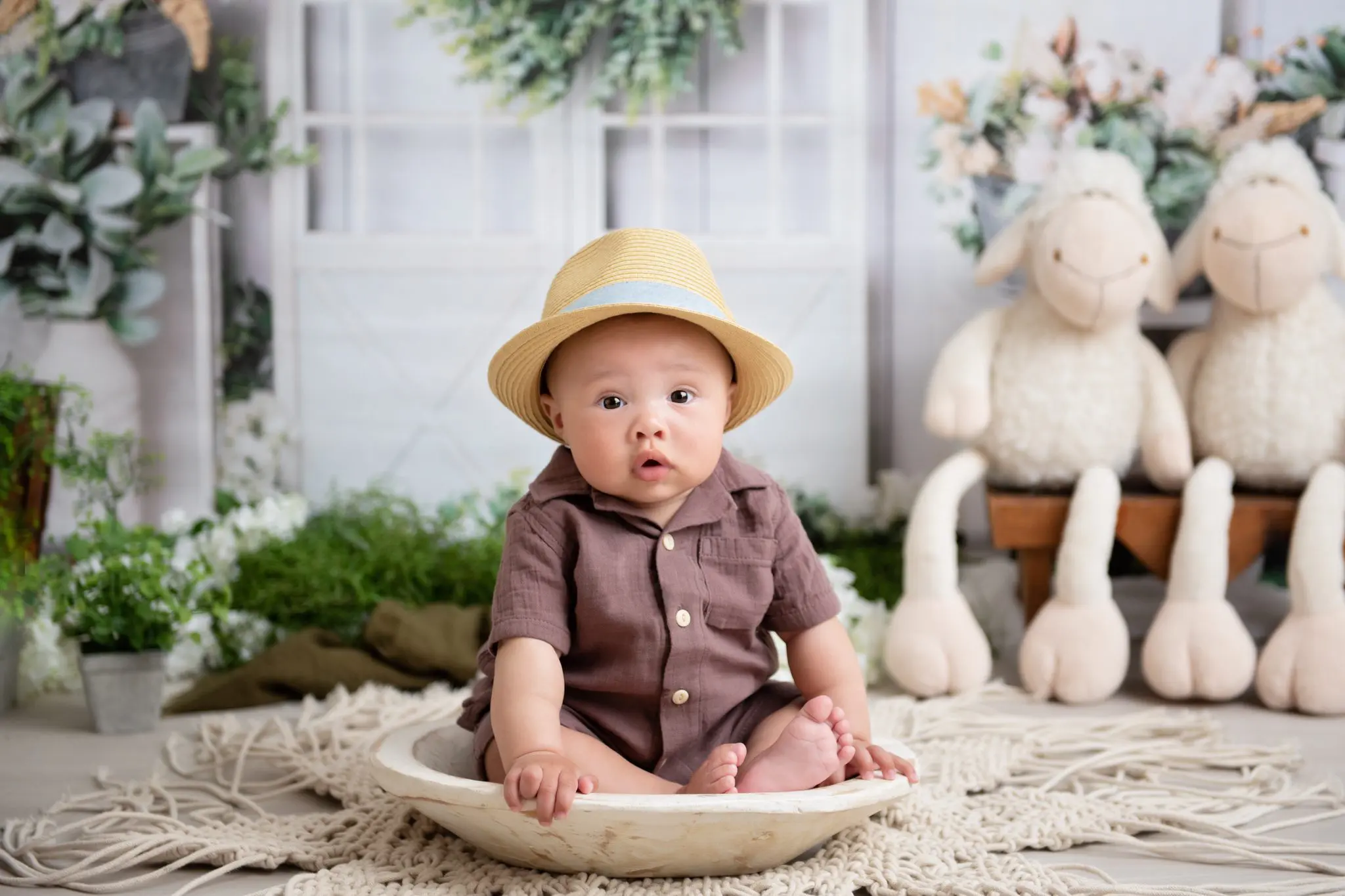 baby sitting in a bowl - sitter session