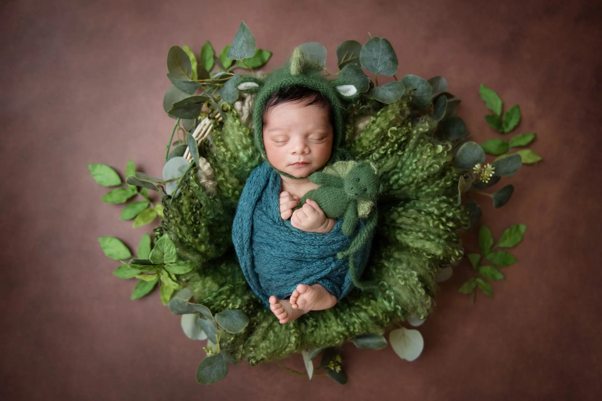 Newborn Photography vancouver - baby in dragon outfit
