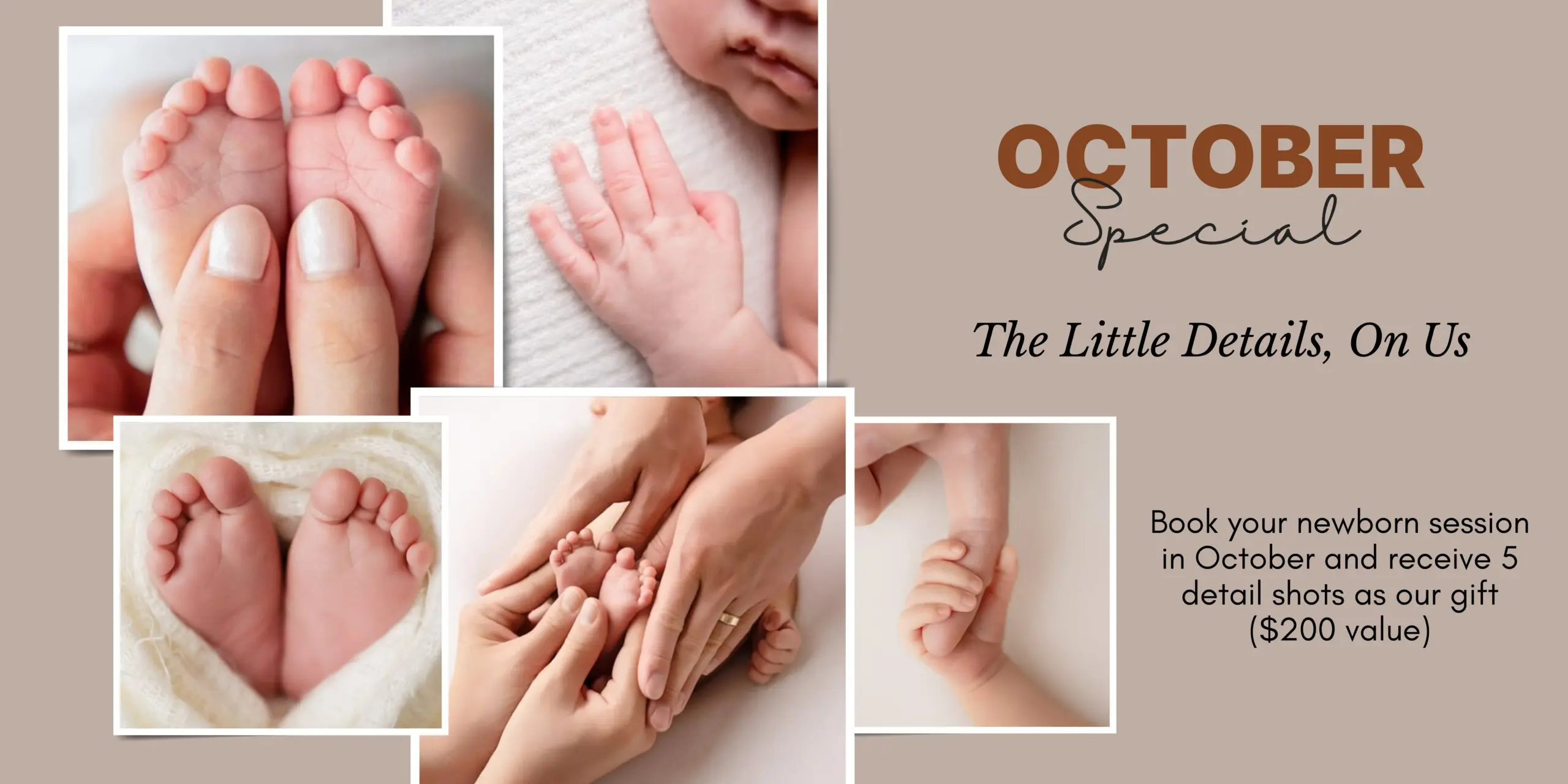 October Special. Book your newborn session this month and we’ll add 5 detail shots to your collection, on us ($200 value)