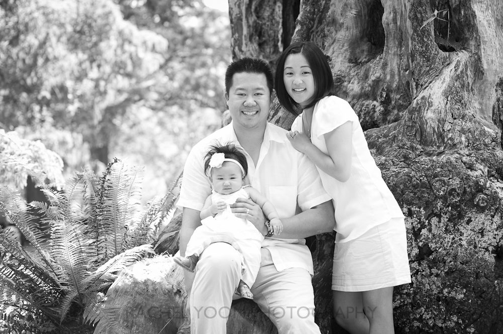 family photography in Stanley Park