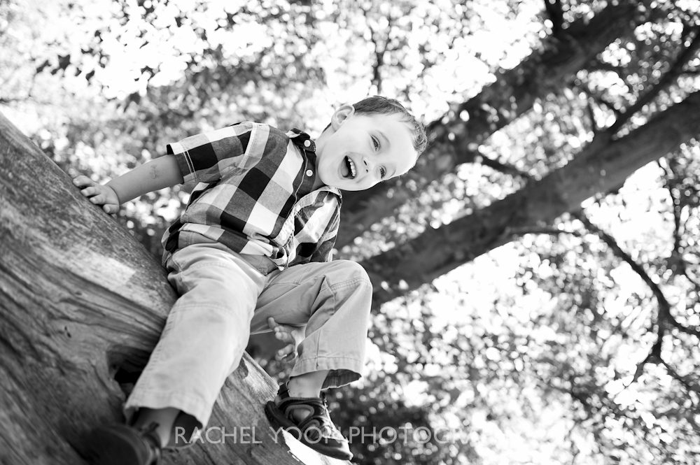 family photography in Stanley Park