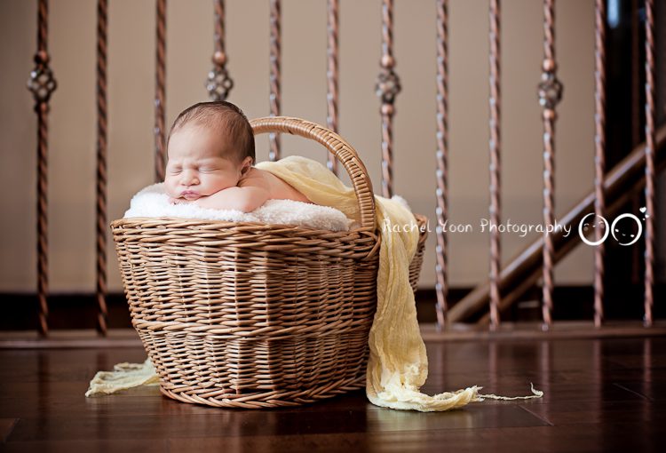 newborn baby in a basket prop