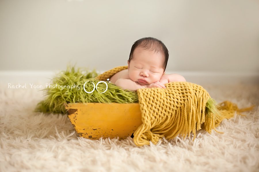 newborn photography vancouver - baby boy in a basket