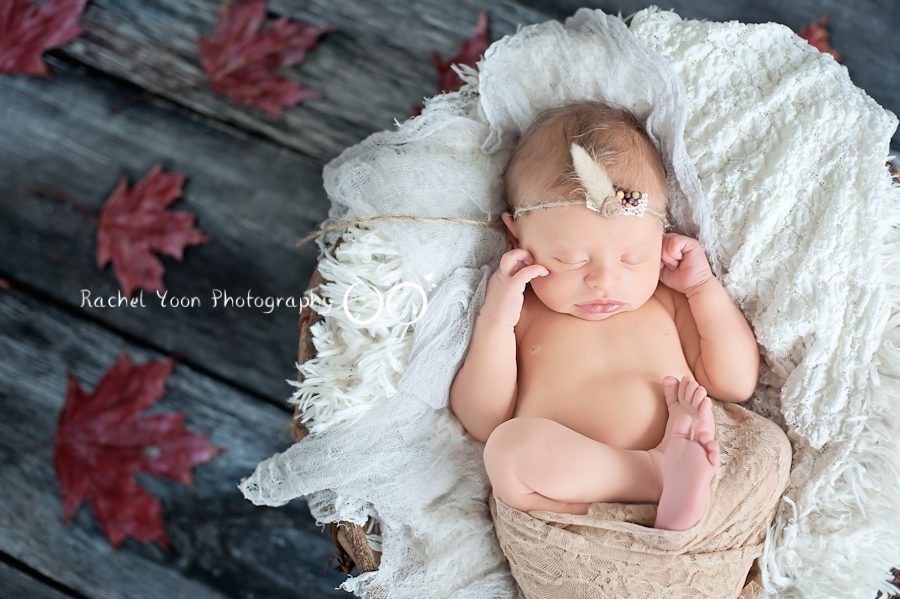 newborn photography vancouver - baby girl fall theme