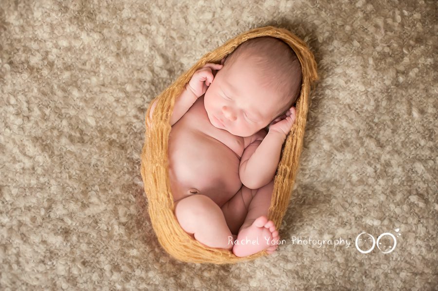newborn photography vancouver - newborn wrapped