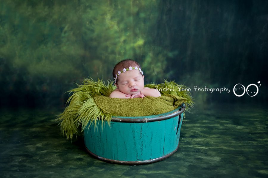 newborn photography vancouver - baby girl in a bucket