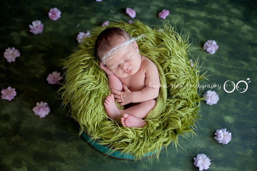 Newborn Photography Vancouver - baby girl in a bucket