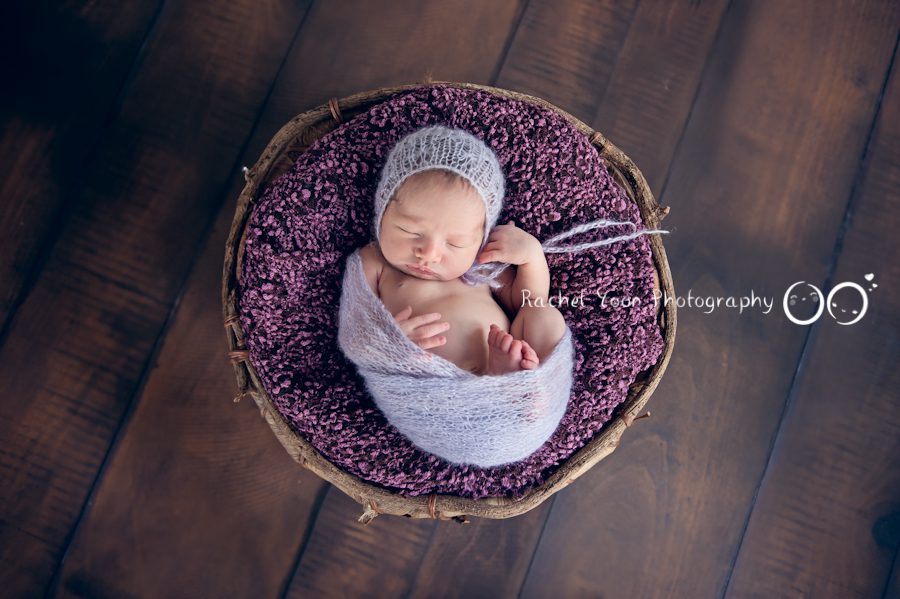 newborn photography vancouver - baby girl in a basket