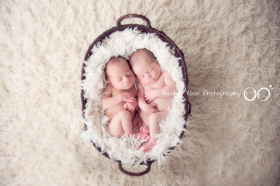 Twins in a basket - Newborn Photography Vancouver