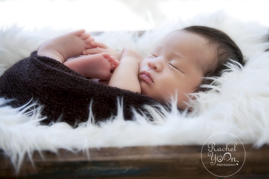 newborn baby boy in a wooden box - Vancouver Newborn Photographer