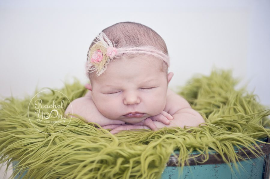 newborn baby girl in a bucket - Vancouver Newborn Photography