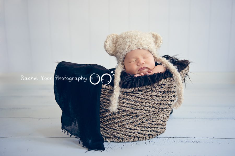 newborn in a basket - Newborn Photography Vancouver