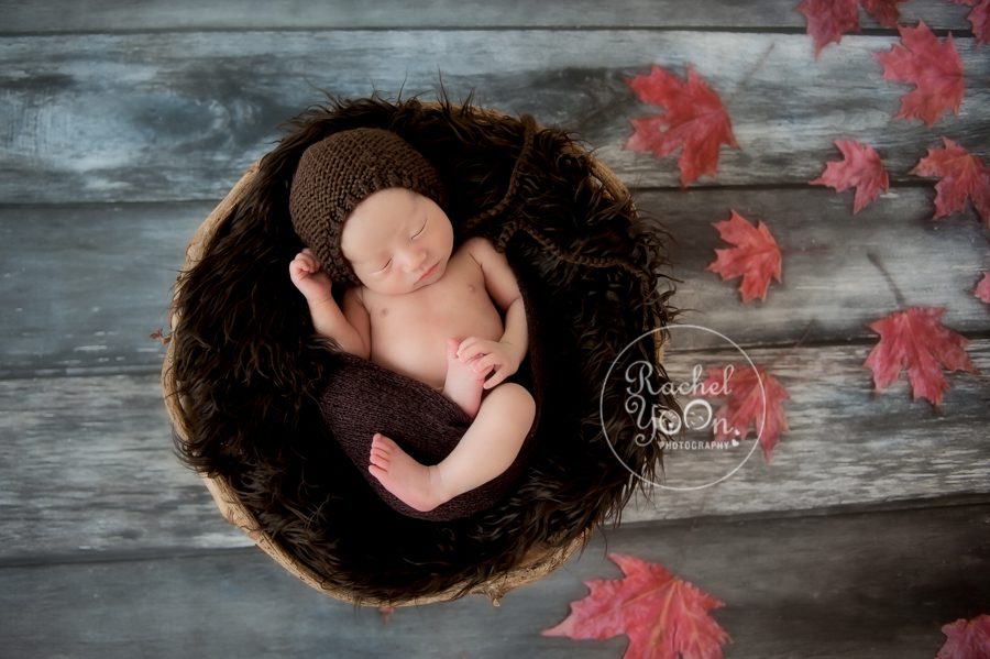 newborn baby boy in a basket - Newborn Photography Vancouver