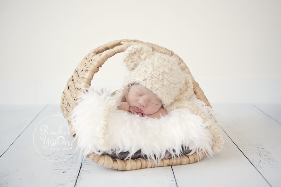 newborn baby boy in a basket - Newborn Photography Vancouver