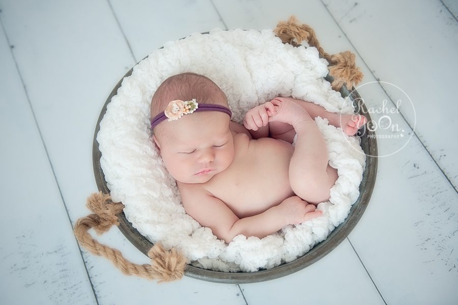 newborn baby girl in a bucket - newborn photography vancouver