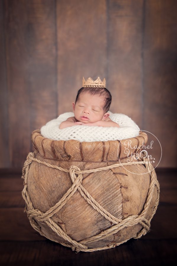 newborn baby girl in a basket - Newborn Photography Vancouver