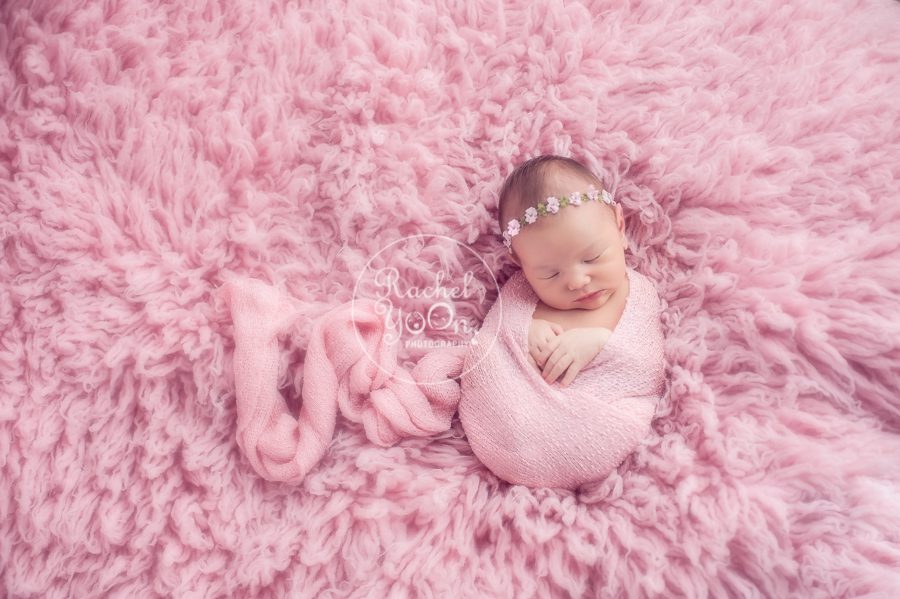 newborn baby girl wrapped in pink - newborn photography vancouver