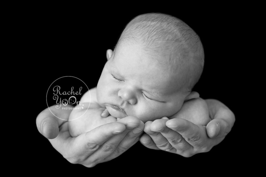 newborn baby boy on dad's hands - newborn photography vancouver
