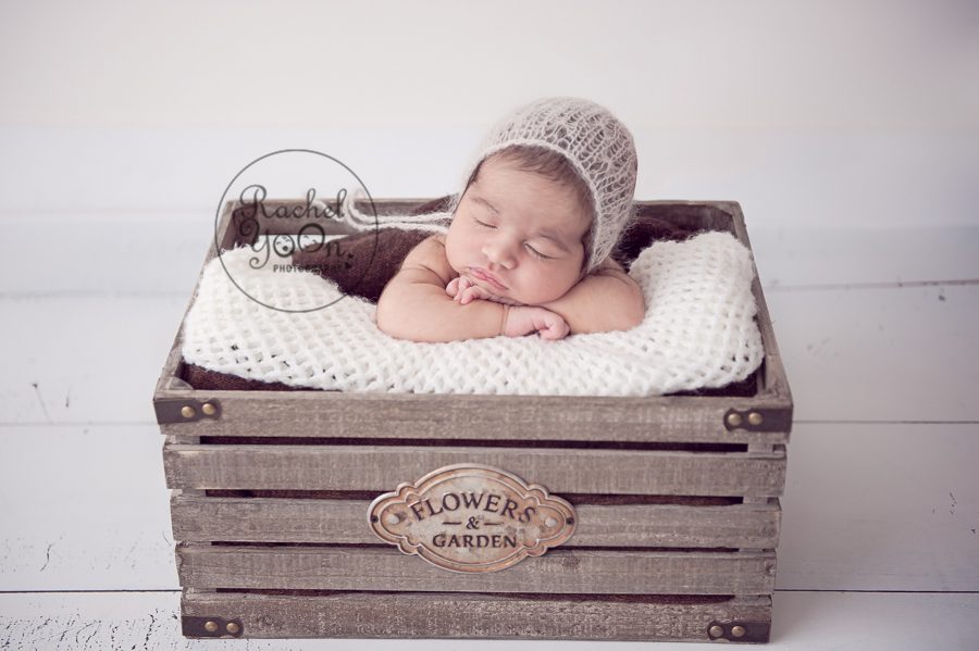 newborn baby girl with a bonet in the garden basket - newborn photography vancouver