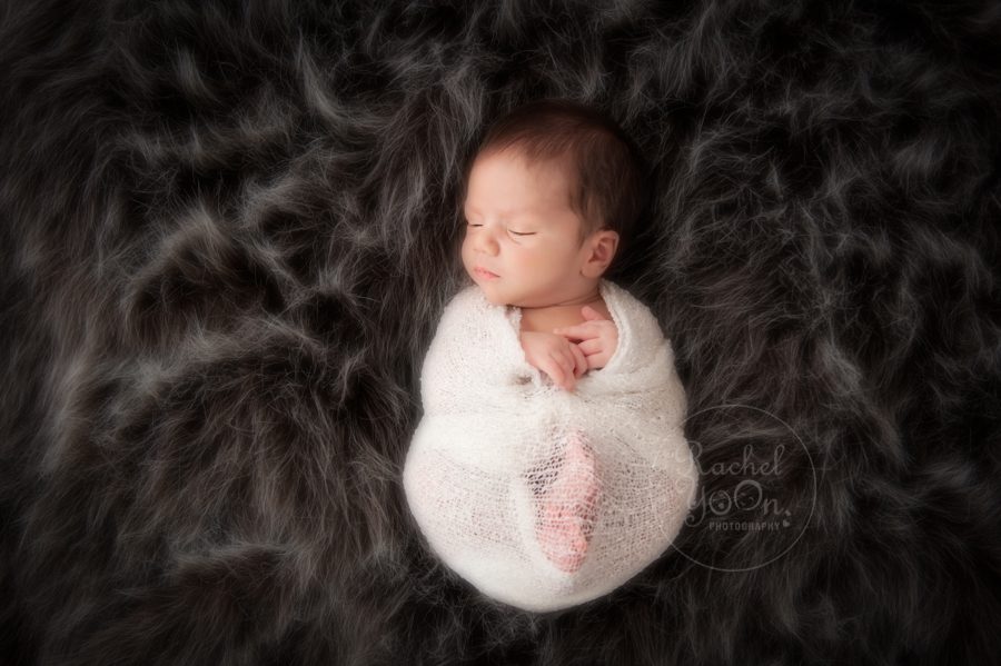 newborn baby boy wrapped - newborn photography vancouver