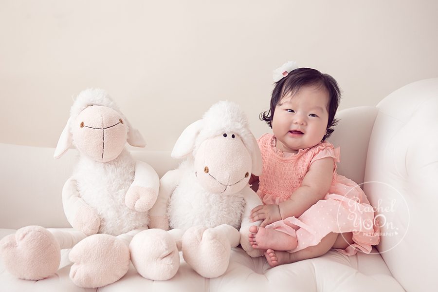 baby girl with lambs - baby photography vancouver