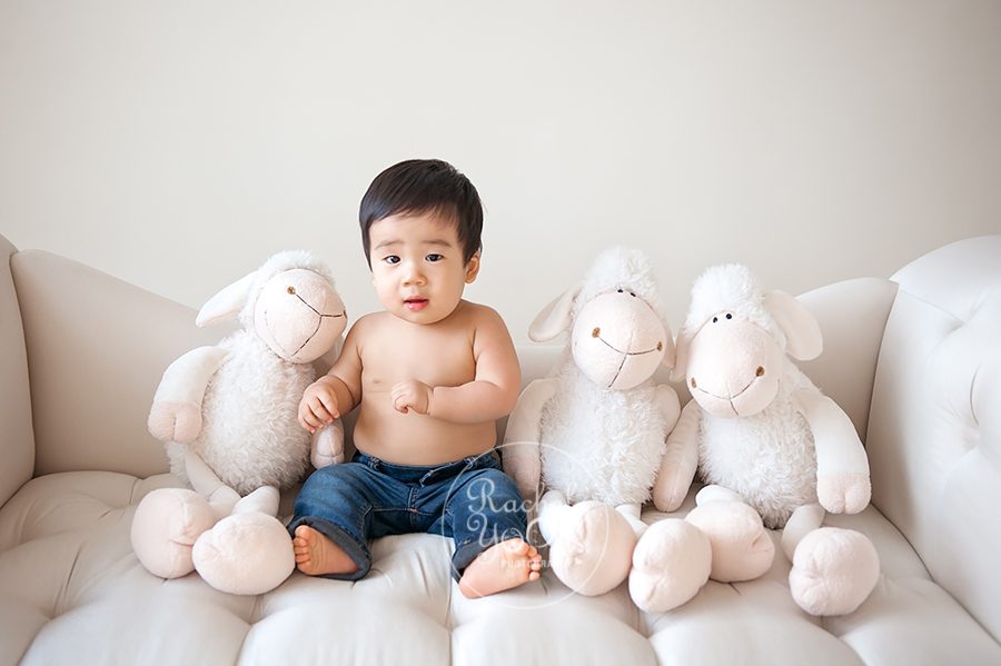 1 year old baby boy sitting with lambs - baby photography vancouver