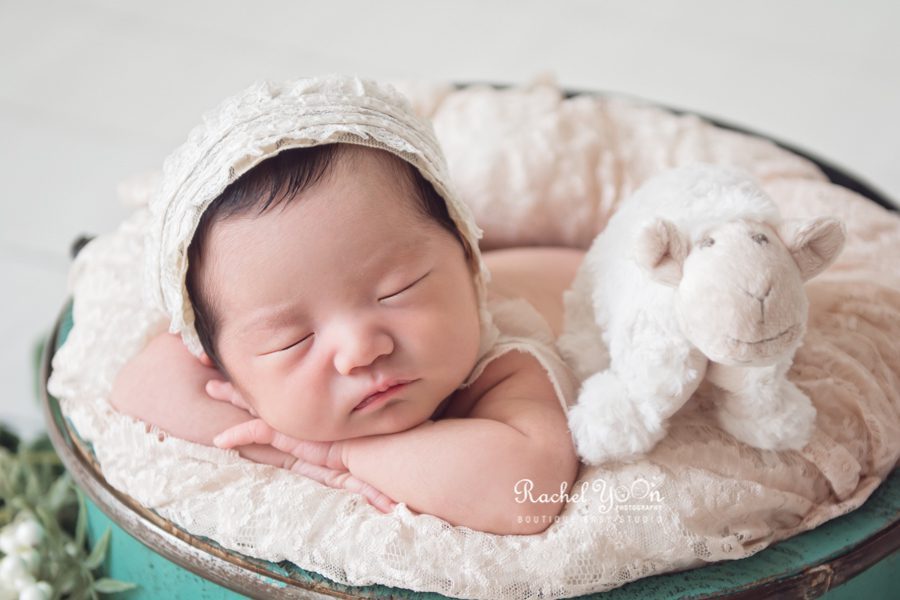 newborn baby girl with a lamb - newborn photography vancouver