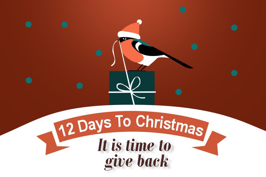 12 days to Christmas - it is time to give back
