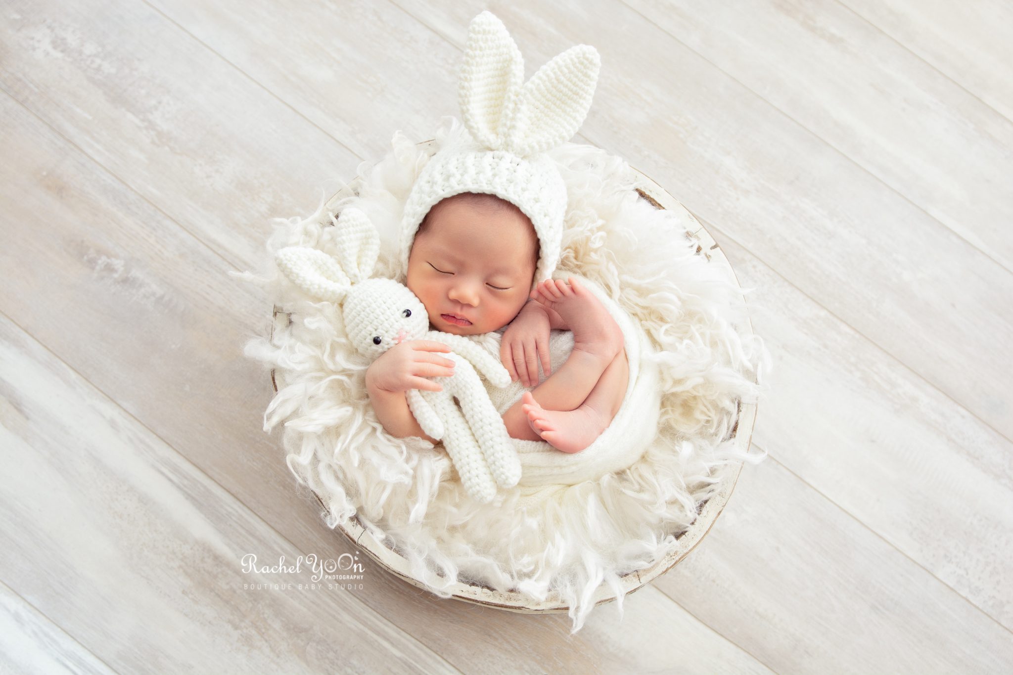 rabbit prop - newborn photography vancouver