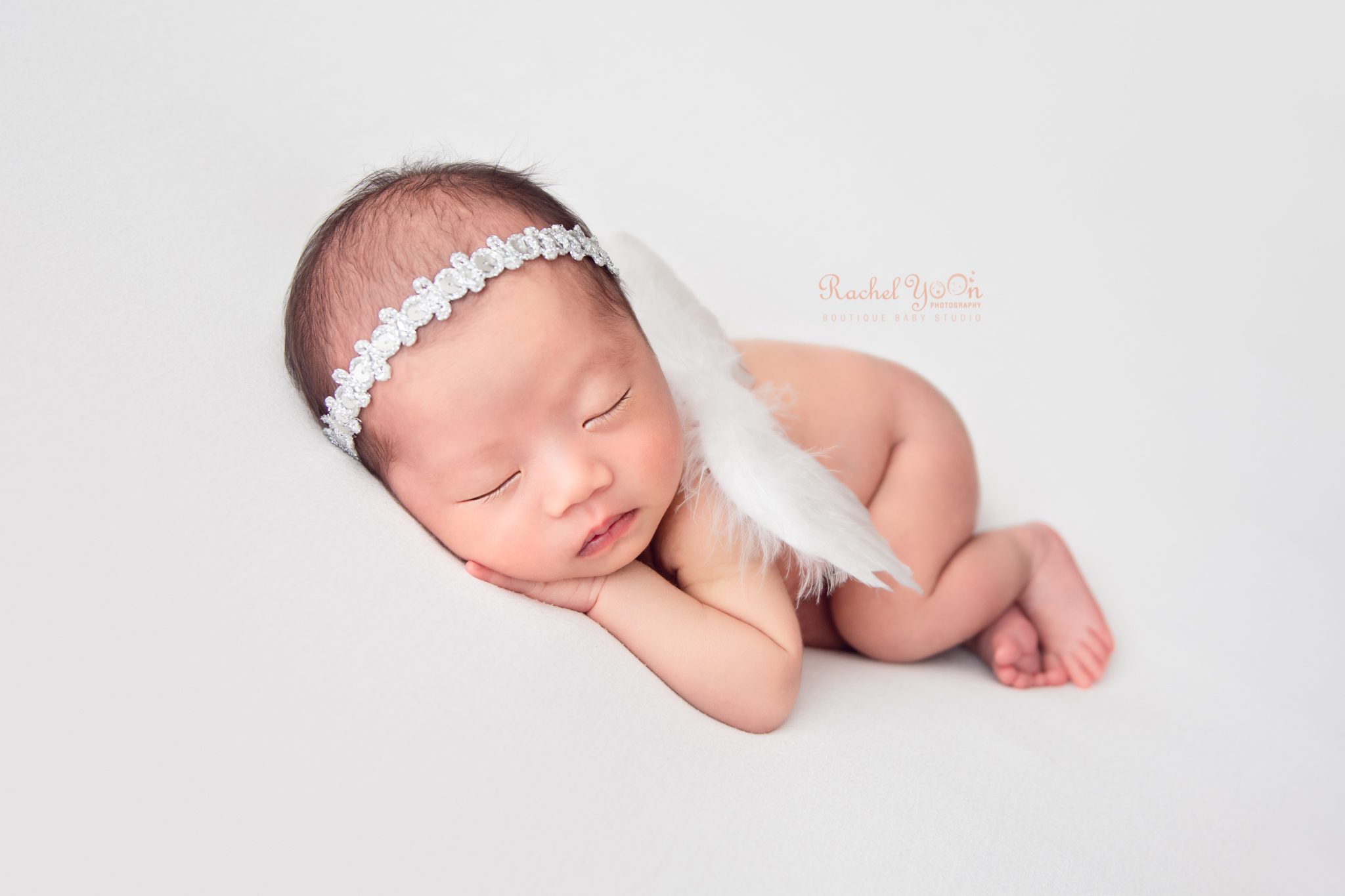 pretty angel wing - newborn photography vancouver