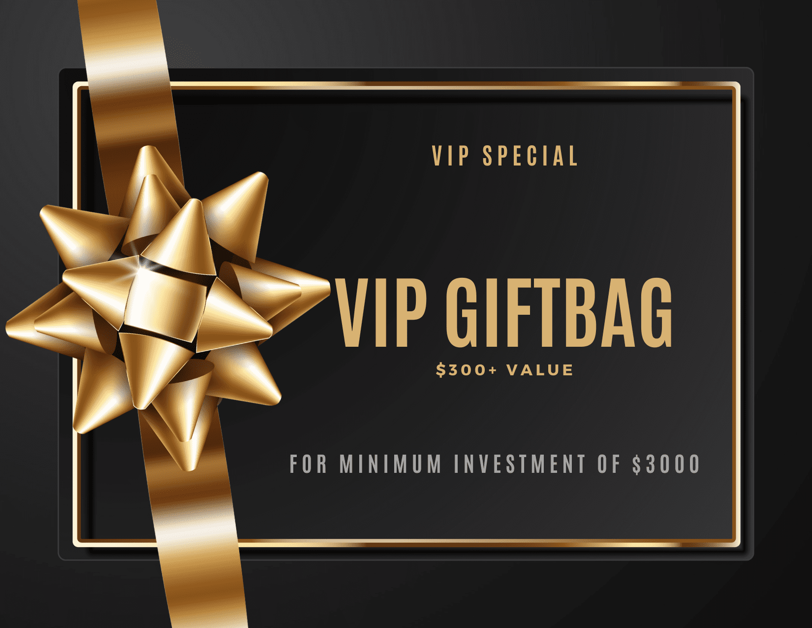 vip gift bag $300+ value for minimum investment of $3000